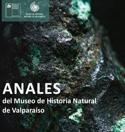 Reflexiones para la construcción